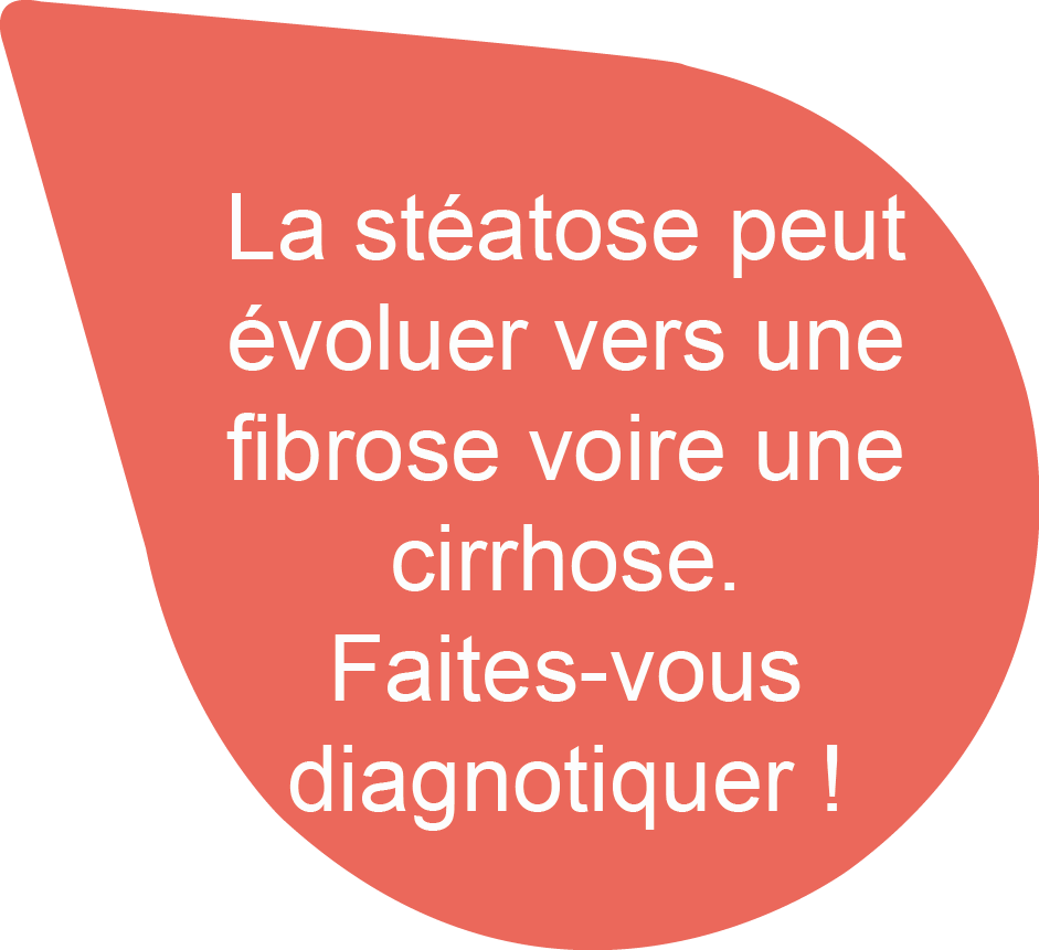 bulle-fr-4