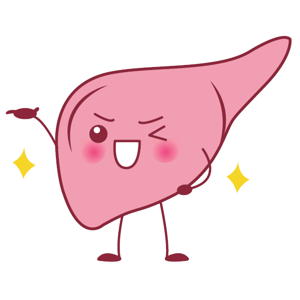 Quizzes my liver exam